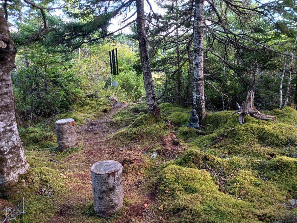 Fiddler'S Lake Escape Gabarus Buitenkant foto